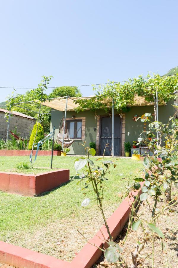 约阿尼纳Valena'S House公寓 外观 照片